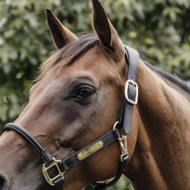 Kentucky Horsewear Anatomic Leather Halter Black-1